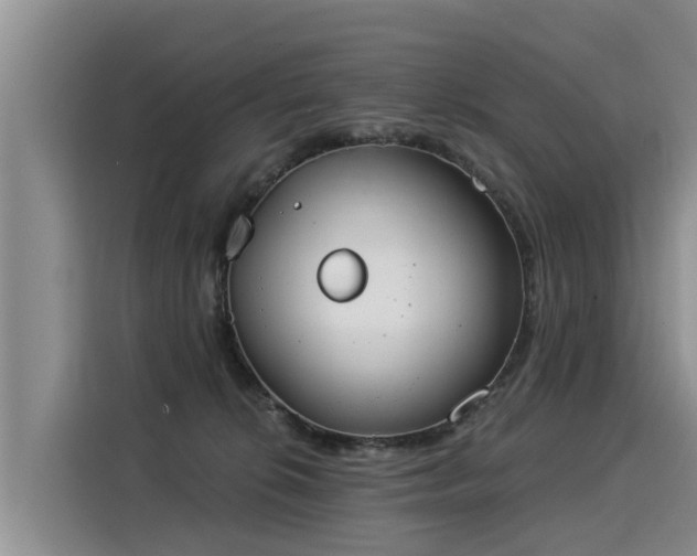 X0000116030276200911271142