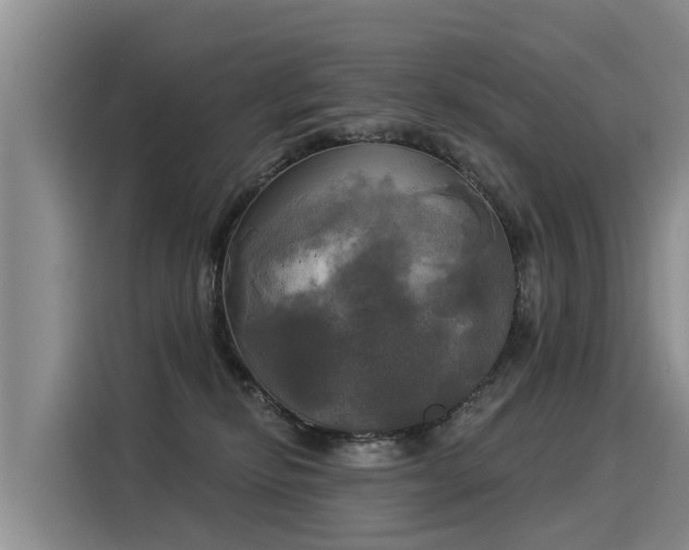 X0000116030278200911271142