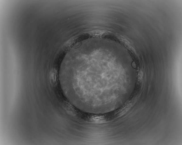 X0000116030283200911271142