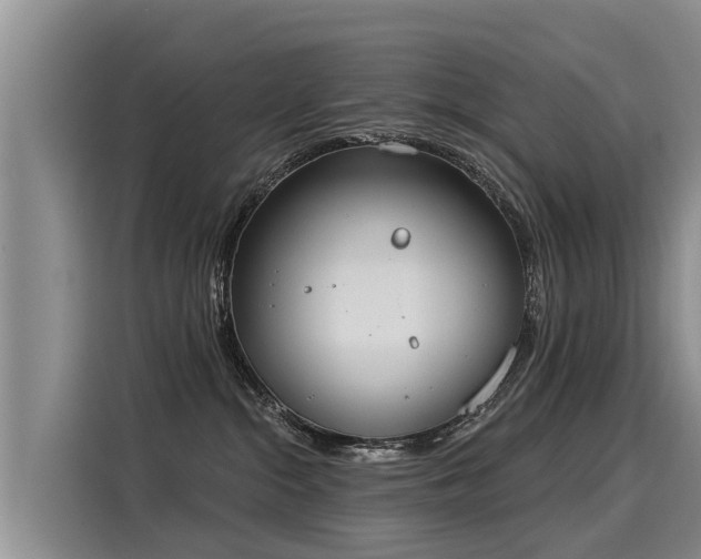 X0000116030284200911271142