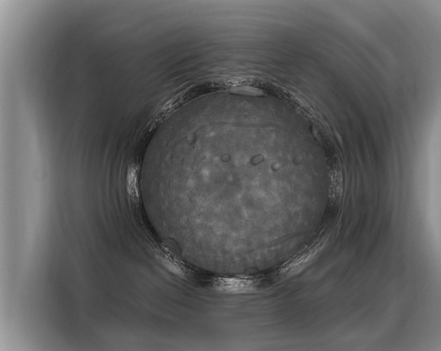 X0000116030286200911271142