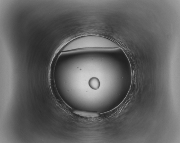 X0000116030292200911271141