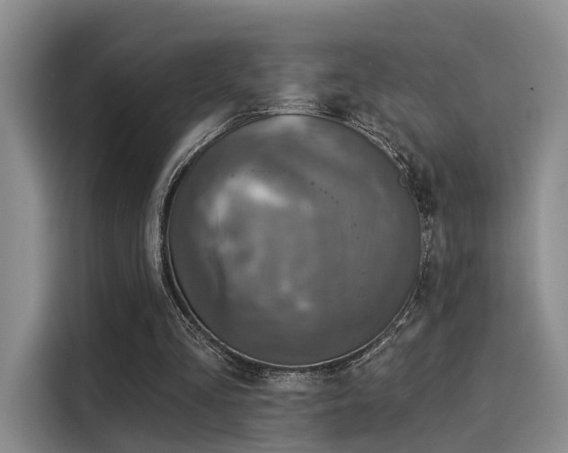 X0000116030293200911271141