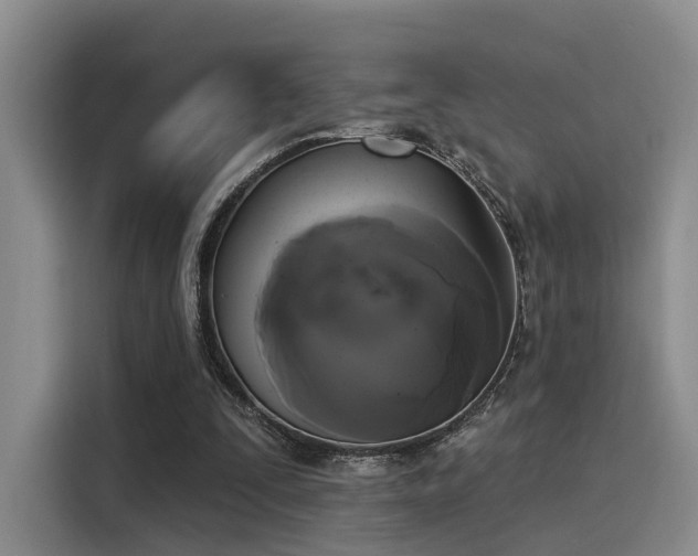 X0000116030295200911271141