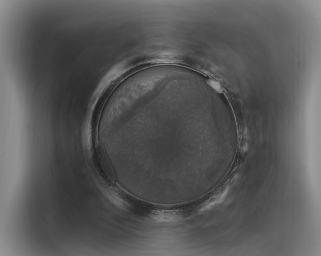 X0000116030296200911271141