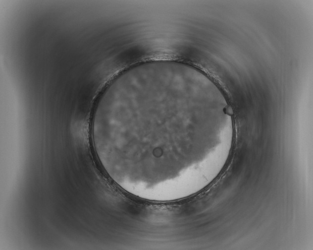 X0000116030297200911271141