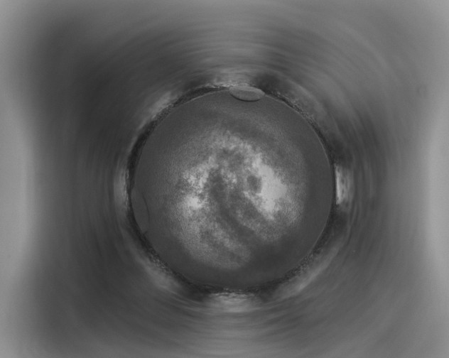 X0000116030300200911271141