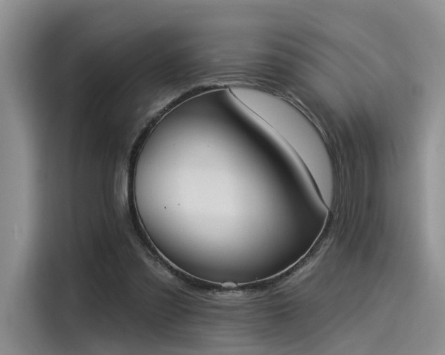 X0000116030301200911271141