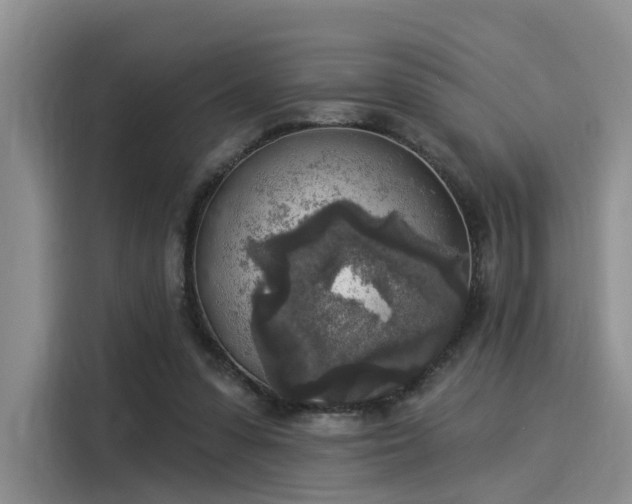 X0000116030303200911271141