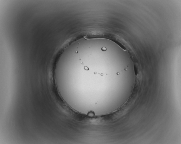 X0000116030306200911271141