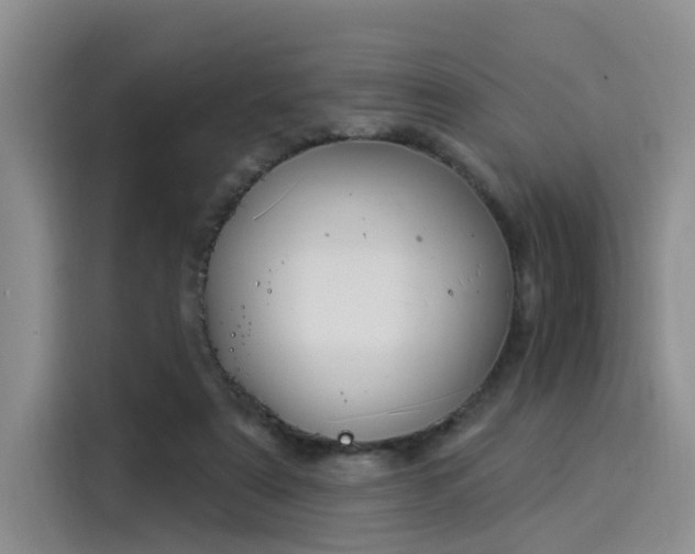 X0000116030307200911271141