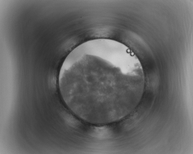 X0000116030309200911271141