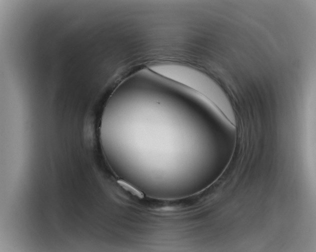 X0000116030312200911271141