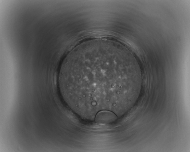 X0000116030315200911271141