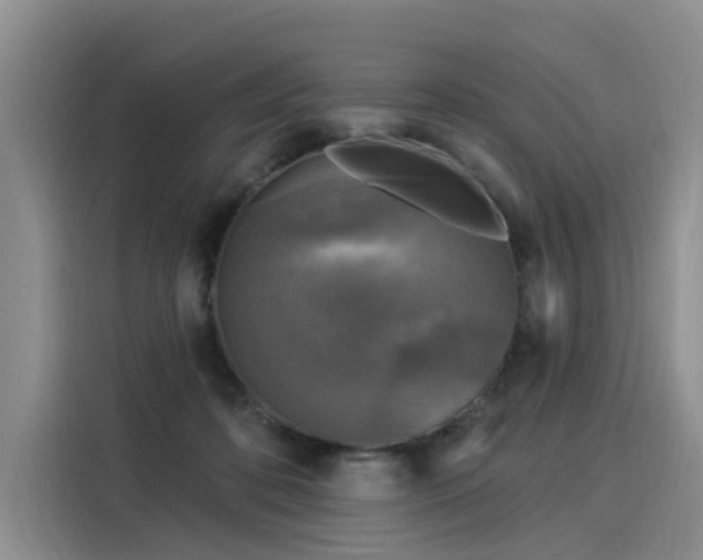 X0000116030316200911271141