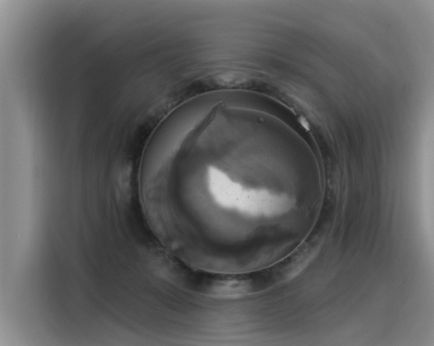 X0000116030319200911271141