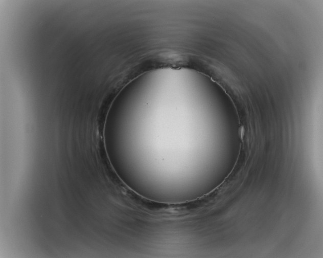 X0000116030320200911271141