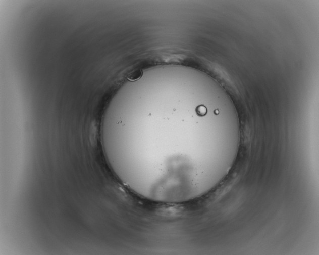 X0000116030321200911271141