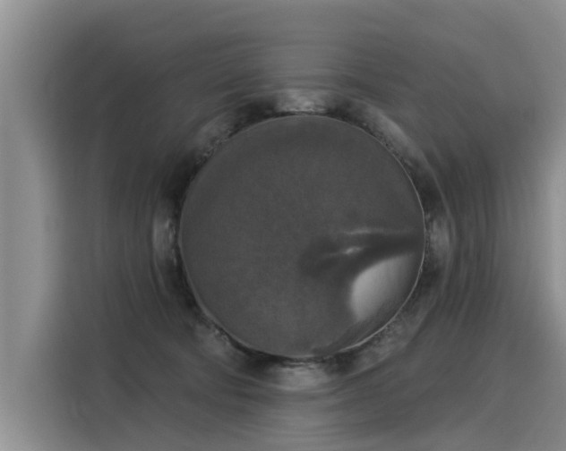 X0000116030322200911271141