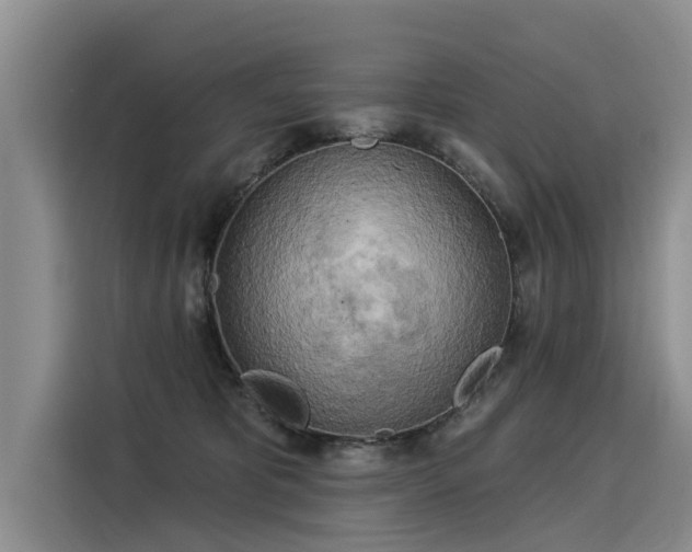 X0000116030325200911271141