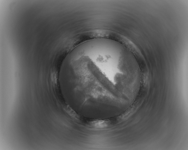 X0000116030326200911271141