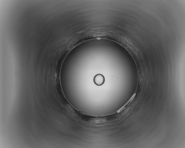 X0000116030327200911271141