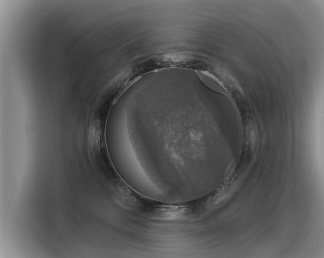 X0000116030328200911271141