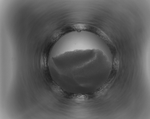 X0000116030330200911271141