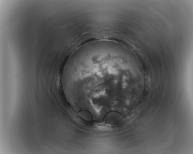 X0000116030331200911271141