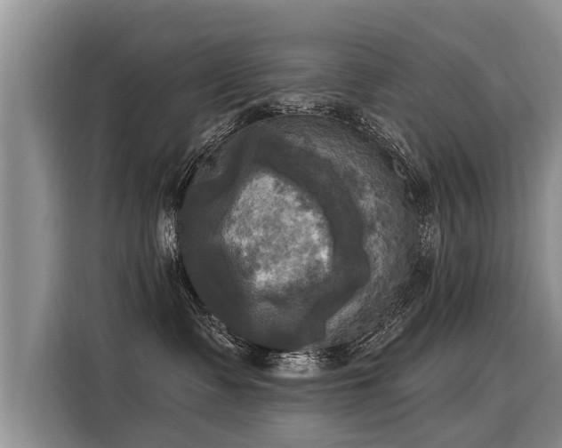 X0000116030335200911271141