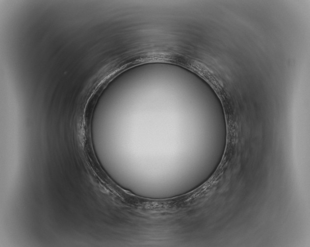 X0000116030338200911271140