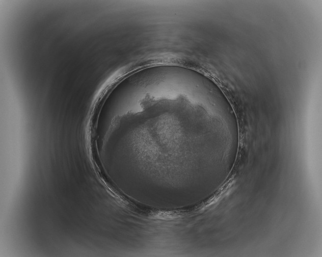 X0000116030341200911271140