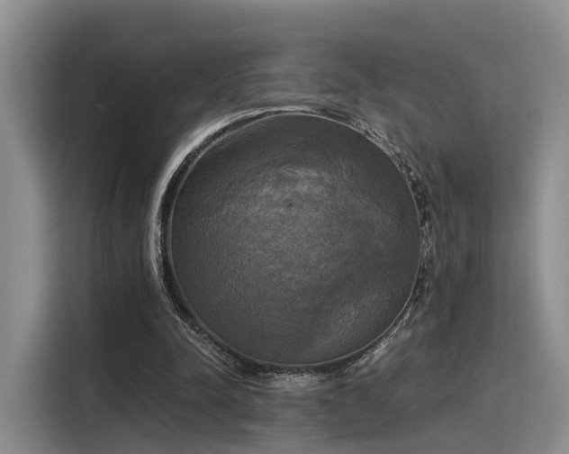 X0000116030342200911271140