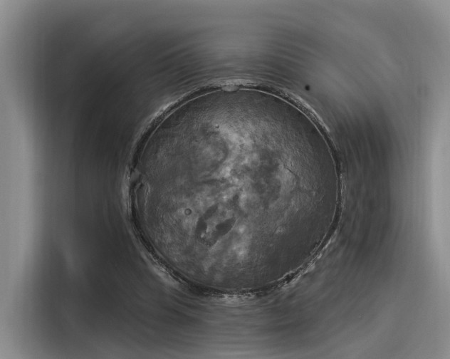 X0000116030345200911271140