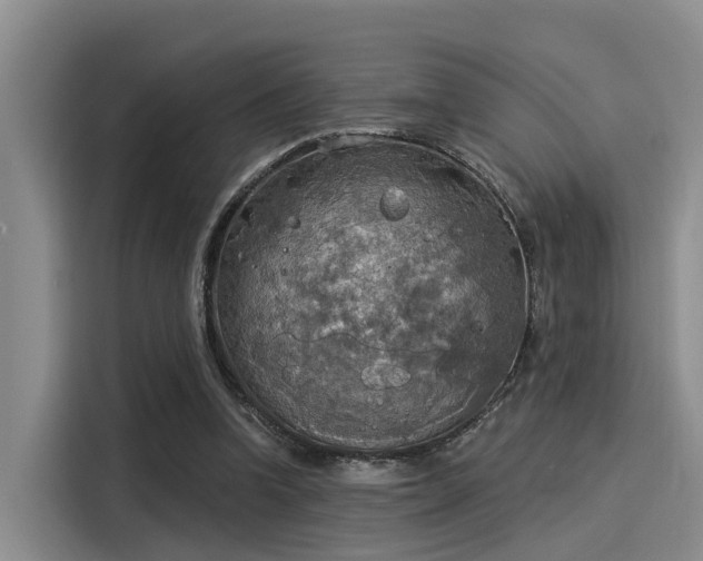 X0000116030346200911271140