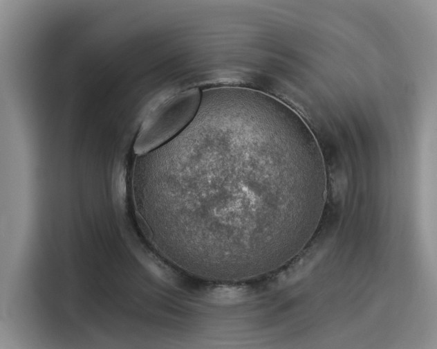 X0000116030350200911271140