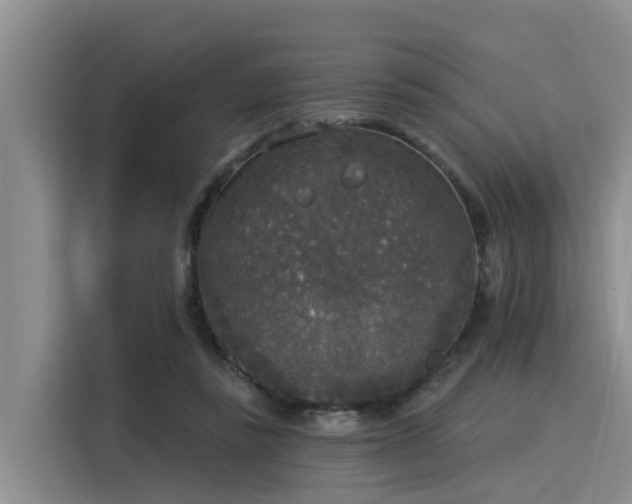 X0000116030355200911271140