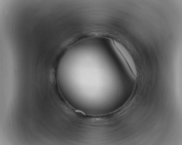 X0000116030361200911271140