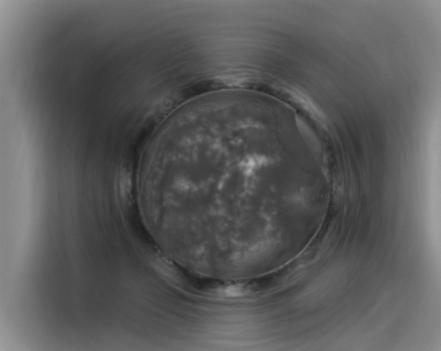 X0000116030365200911271140