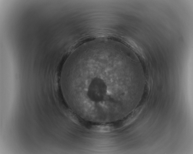 X0000116030366200911271140