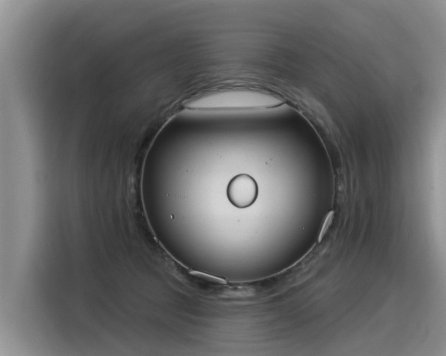 X0000116030369200911271140