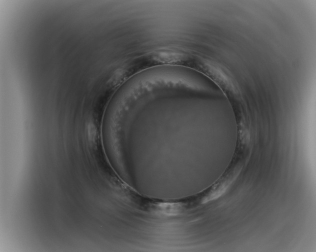 X0000116030371200911271141