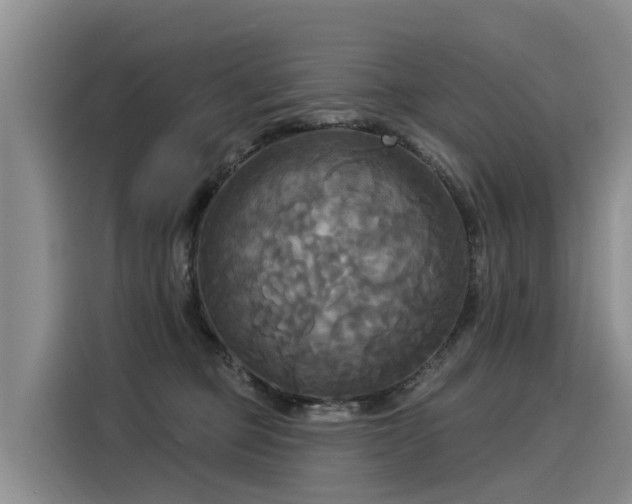 X0000116030373200911271141