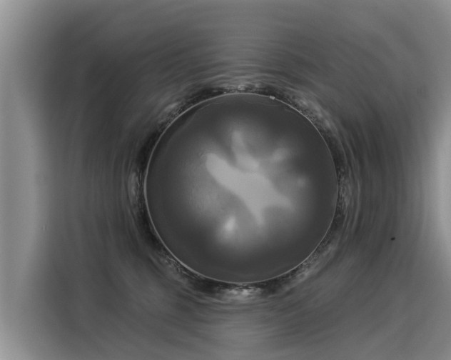 X0000116030375200911271141