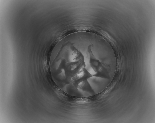 X0000116030377200911271141