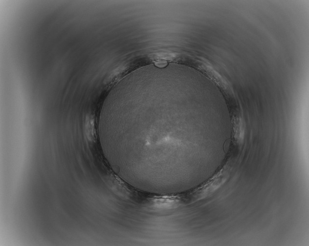 X0000116030378200911271141