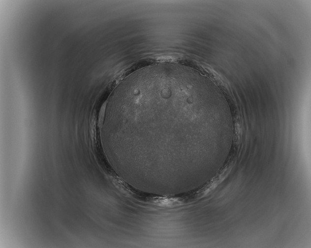 X0000116030379200911271141