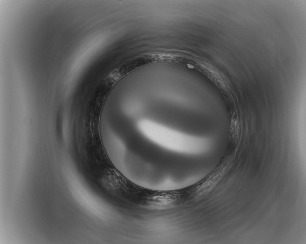 X0000116030381200911271141