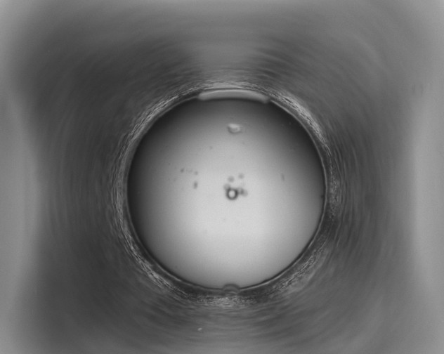 X0000116030385200911271140