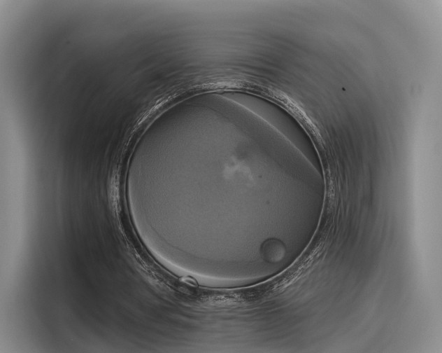 X0000116030386200911271140